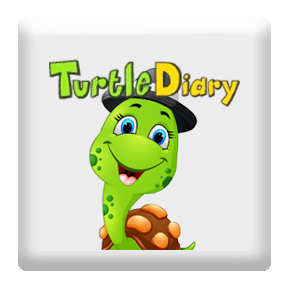 Turtle Diary